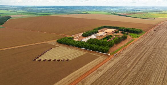 Grupo Bom Jesus implementa novas práticas de governança