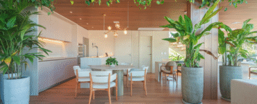 Arquitetura prioriza inovação e soluções atemporais