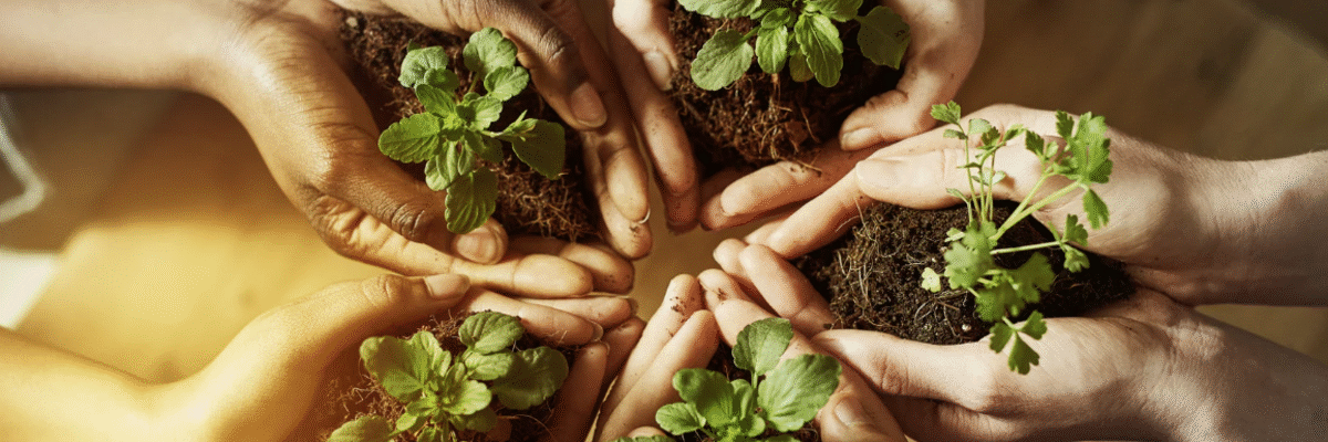 Educação Ambiental visa desenvolver a compreensão integrada do meio ambiente