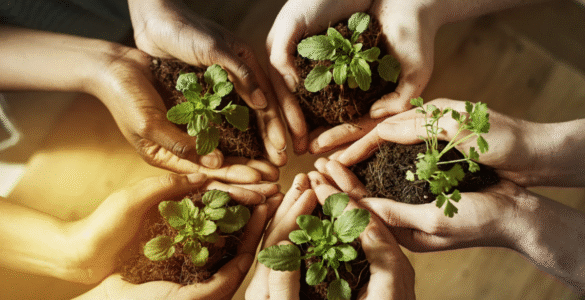 Educação Ambiental visa desenvolver a compreensão integrada do meio ambiente