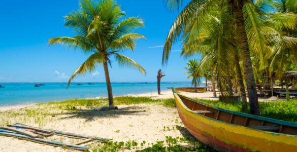 Turistas ampliam procura por passeios culturais em Ilhéus durante alta temporada