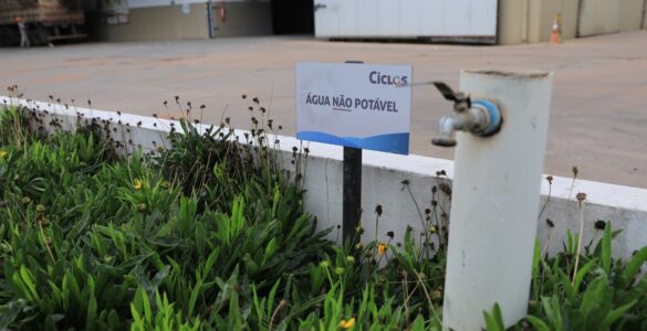 Iniciativa sustentável de MS foi apresentada na COP30