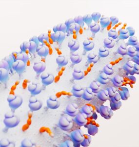 VSR: proteção para adultos 50+ com comorbidade é aprovada