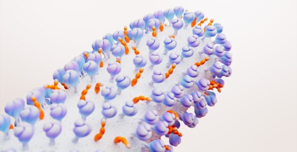 VSR: proteção para adultos 50+ com comorbidade é aprovada