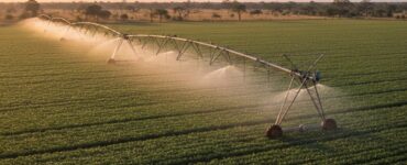 Irrigação inteligente combate alta no preço da energia