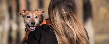 Grupo Colina dos Ipês lança plano funerário para animais de estimação