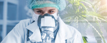 Acesso à Cannabis medicinal cresce e exige segurança