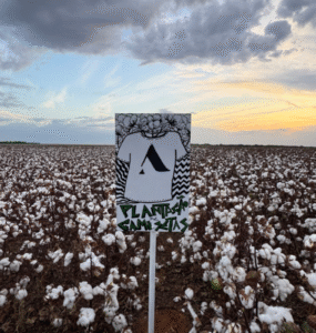 Future Climate e Almagrino vestem transparência na COP30