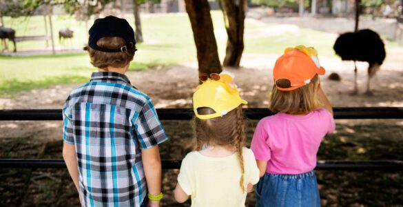 Recesso escolar exige adaptação para famílias de crianças com TEA