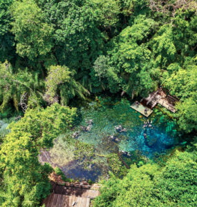 Nascente Azul é o atrativo mais visitado de Bonito (MS)