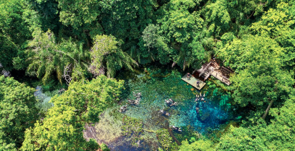 Nascente Azul é o atrativo mais visitado de Bonito (MS)