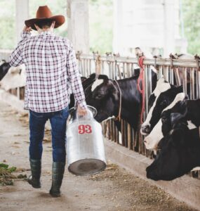 Escovas técnicas em nylon impulsionam higiene e eficiência na pecuária leiteira