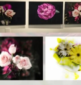 Flores: Malu Mesquita expõe nova série no espaço O Jardim