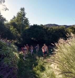 Yoga cresce com o setor de bem-estar no país