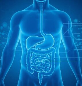 Tecnologia inova cura de doenças abdominais e metabólicas