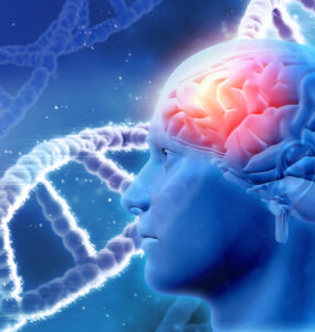 Esquizofrenia pode ter origem na formação do cérebro