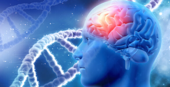 Esquizofrenia pode ter origem na formação do cérebro