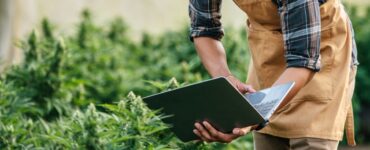 Novas RDCs da Anvisa aquecem mercado de cannabis medicinal