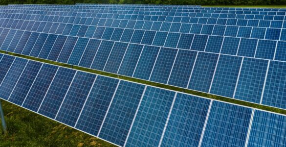 Evolução da energia renovável trará benefício para sociedade