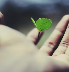 Solera recebe prêmio por tecnologia climática no reparo