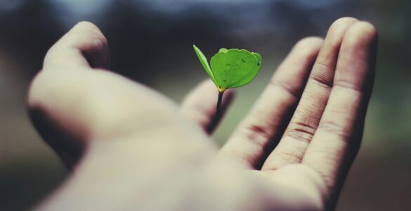 Solera recebe prêmio por tecnologia climática no reparo