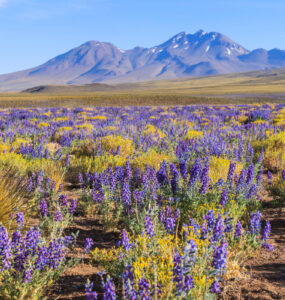 KAYAK revela 5 destinos com eventos naturais para ir em 2026