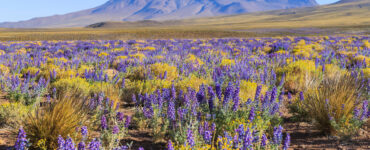 KAYAK revela 5 destinos com eventos naturais para ir em 2026