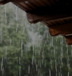 Calor e chuva aceleram avanço da dengue no país