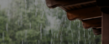 Calor e chuva aceleram avanço da dengue no país