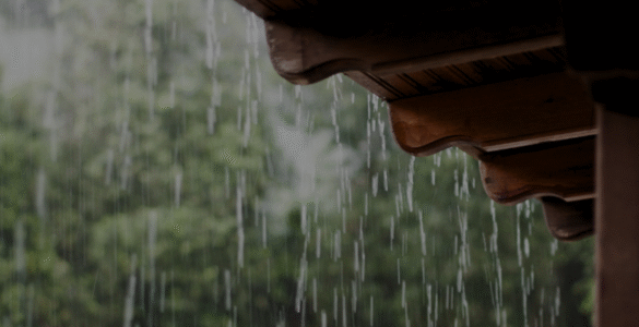 Calor e chuva aceleram avanço da dengue no país