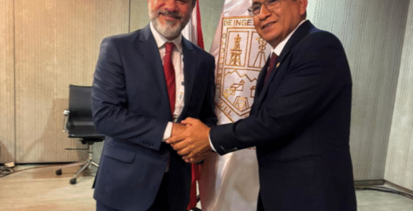 Proposta da AMIG cria comitê mineral para a América Latina