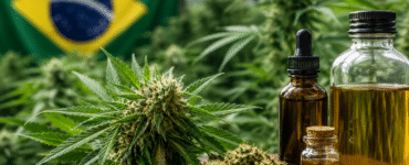 Brasil debate custos da cannabis medicinal