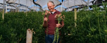 Flor tem origem: o mercado que o Brasil ainda não vê