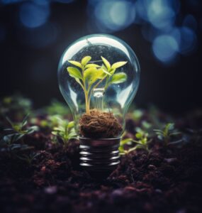 Projeto Conexões em Teias traz inovação ao MIT Energy Summit