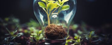 Projeto Conexões em Teias traz inovação ao MIT Energy Summit