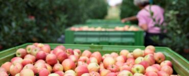 Umidade e a temperatura ameaçam exportação de alimentos