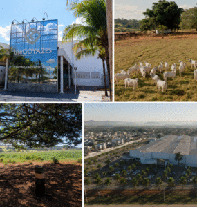 MEC concede Nota 5 ao curso de Ciências Biológicas