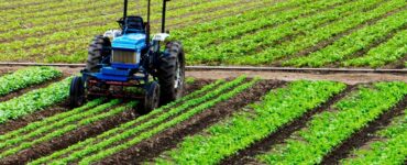 Crédito estruturado apoia mecanização da cafeicultura
