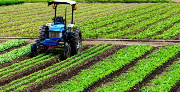Crédito estruturado apoia mecanização da cafeicultura