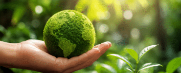 Avant amplia iniciativas de sustentabilidade