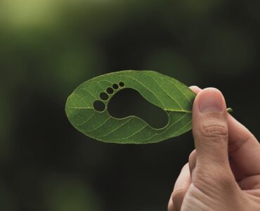 Eficiência Energética com resultados para empresas