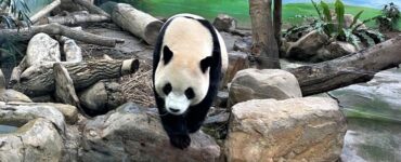 Taiwan reúne atrações para viagens em família com crianças