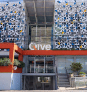 Qive cria projeto para impulsionar mulheres na tecnologia