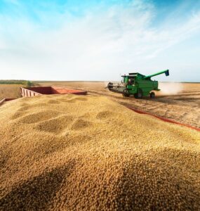 Grupo do agro aprova recuperação judicial com deságio de 85%