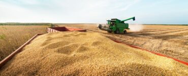 Grupo do agro aprova recuperação judicial com deságio de 85%