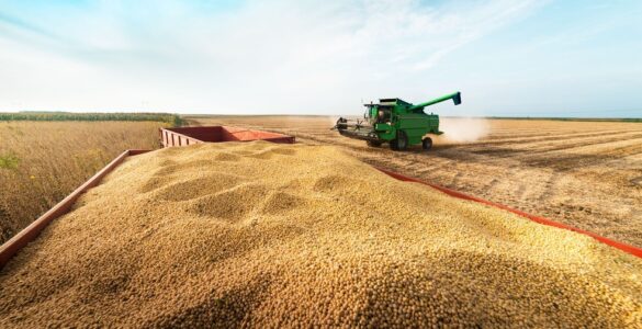 Grupo do agro aprova recuperação judicial com deságio de 85%
