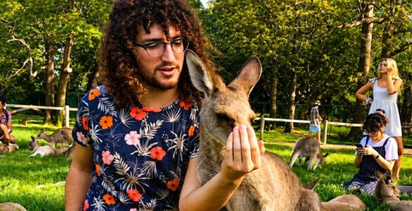 Inglês + voluntariado: experiência que fortalece causas
