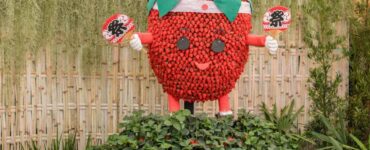 Festa de Flores e Morangos de Atibaia apresenta novidades