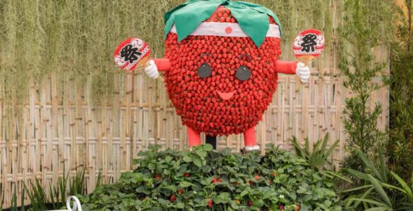 Festa de Flores e Morangos de Atibaia apresenta novidades