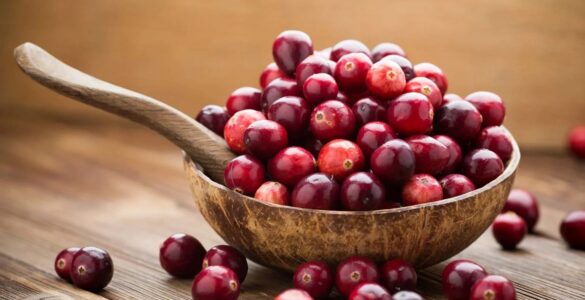 Novas evidências científicas sobre o uso de cranberries